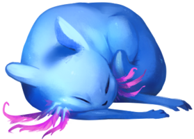 a slugcat, namely rivulet
